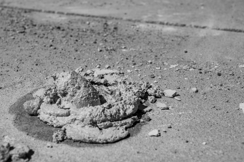 Local Knowledge and Expertise